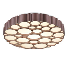 Потолочный светильник Vele Luce Bible VL7156L01