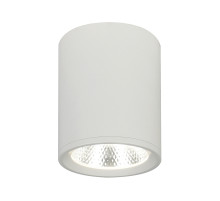 Потолочный светильник 20003 20003SMU/02LED SWH