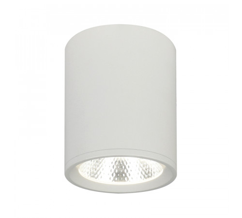 Потолочный светильник 20003 20003SMU/02LED SWH Потолочный светильник 20003 20003SMU/02LED SWH