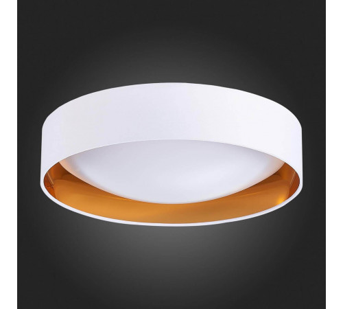 Потолочный светодиодный светильник Evoluce Orbio SLE201122-01