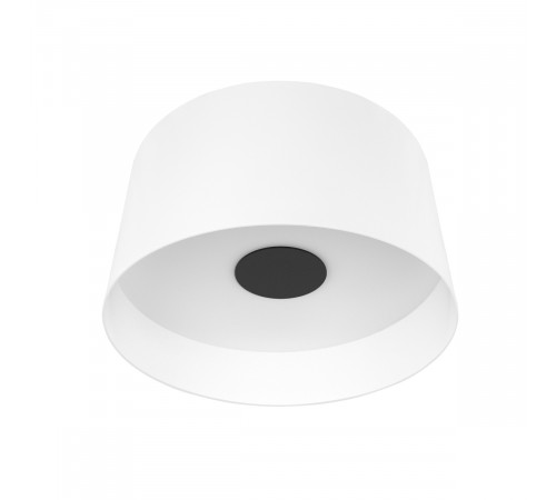 Потолочный светильник Loft IT Duo 10360L White Потолочный светильник Loft IT Duo 10360L White