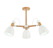 Потолочный светильник EVOLUCE BALCAMO SLE103802-03