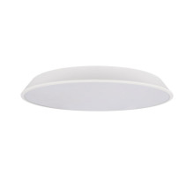 Потолочный светильник Loft IT Brim 10226 White