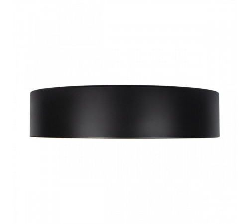 Потолочный светильник Loft IT Coin 10202 Black Потолочный светильник Loft IT Coin 10202 Black