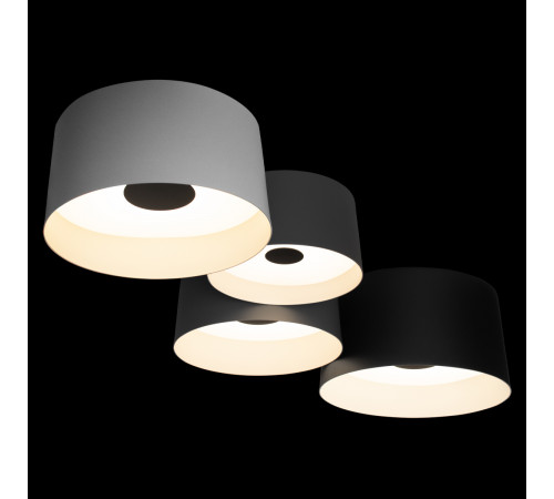 Потолочный светильник Loft IT Duo 10360/4 Потолочный светильник Loft IT Duo 10360/4