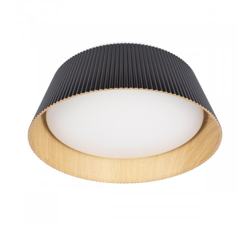 Потолочный светильник Loft IT Evans 10224 Black