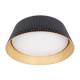 Потолочный светильник Loft IT Evans 10224 Black