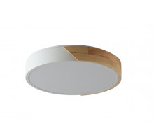 Потолочный светильник Zortes Alberro ZRS.01239.90