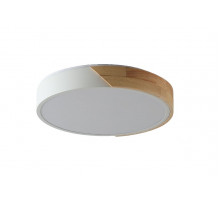 Потолочный светильник Zortes Alberro ZRS.01239.90
