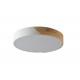 Потолочный светильник Zortes Alberro ZRS.01239.90