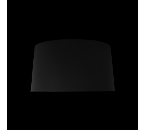 Потолочный светильник Loft IT Duo 10360S Black Потолочный светильник Loft IT Duo 10360S Black