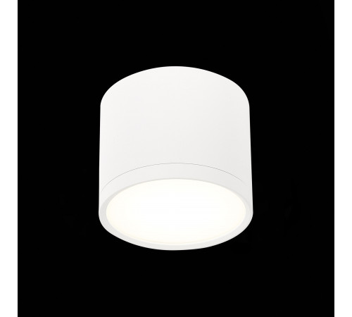 Потолочный светильник ST Luce Rene ST113.542.09 Потолочный светильник ST Luce Rene ST113.542.09