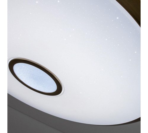 Потолочный светодиодный светильник Citilux Старлайт Смарт CL703A103G
