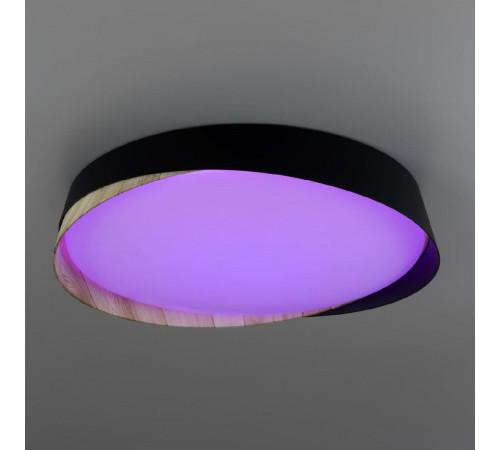 Потолочный светильник Citilux Bonny CL754351G Потолочный светильник Citilux Bonny CL754351G