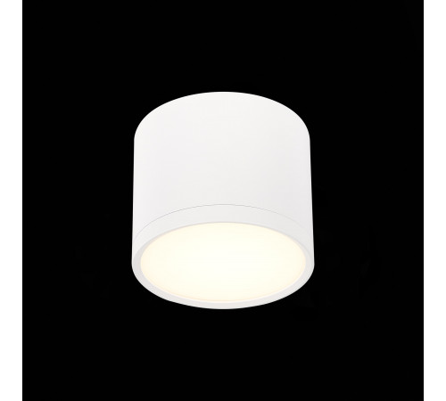 Потолочный светильник ST Luce Rene ST113.532.09 Потолочный светильник ST Luce Rene ST113.532.09