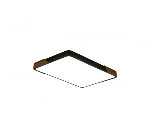 Потолочный светильник Zortes Alberro ZRS.01244.60 Потолочный светильник Zortes Alberro ZRS.01244.60