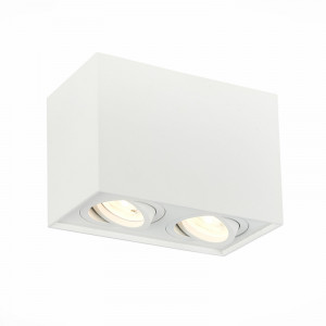 Потолочный светильник ST LUCE ST109.507.02