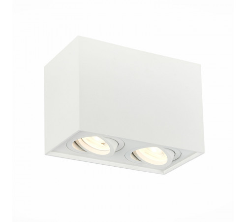 Потолочный светильник ST LUCE ST109.507.02 Потолочный светильник ST LUCE ST109.507.02
