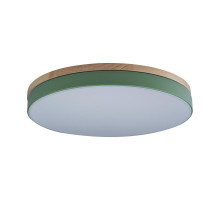 Потолочный светильник Loft IT AXEL 10001/36 Green