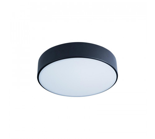 Потолочный светильник Loft IT AXEL 10002/12 Black Потолочный светильник Loft IT AXEL 10002/12 Black