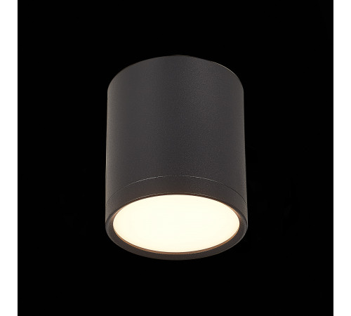 Потолочный светильник ST Luce Rene ST113.432.05 Потолочный светильник ST Luce Rene ST113.432.05