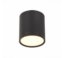 Потолочный светильник ST Luce Rene ST113.432.05