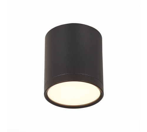 Потолочный светильник ST Luce Rene ST113.432.05 Потолочный светильник ST Luce Rene ST113.432.05