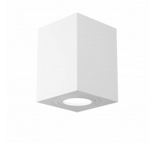 Потолочный светильник Maytoni Alfa C017CL-01W