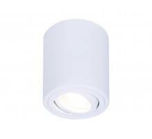Потолочный светильник Ambrella Light Techno Spot TN225