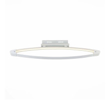 Потолочный светодиодный светильник ST Luce SL920.102.01