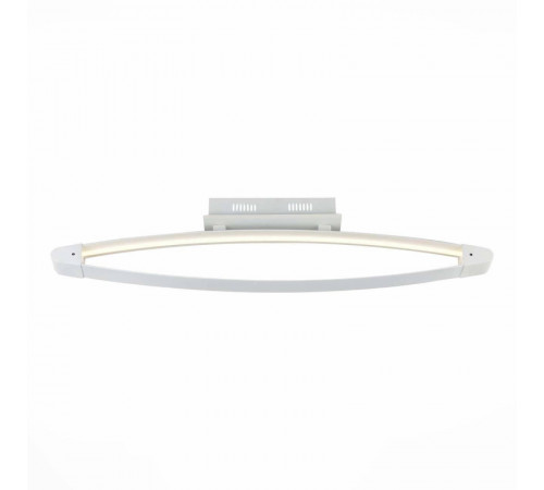 Потолочный светодиодный светильник ST Luce SL920.102.01 Потолочный светодиодный светильник ST Luce SL920.102.01