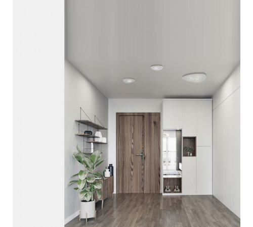 Потолочный светильник Nowodvorski Organic 8305 Потолочный светильник Nowodvorski Organic 8305