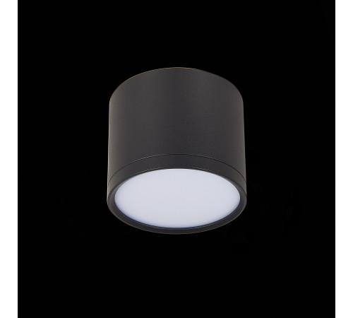 Потолочный светильник ST Luce Rene ST113.432.09 Потолочный светильник ST Luce Rene ST113.432.09