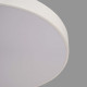 Потолочный светильник F-Promo Arena 4685-8C