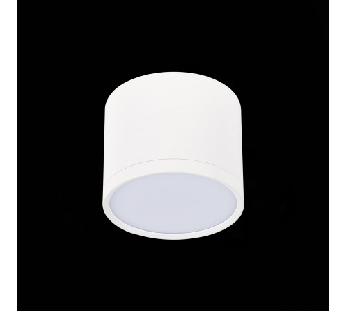 Потолочный светильник ST Luce Rene ST113.532.09 Потолочный светильник ST Luce Rene ST113.532.09
