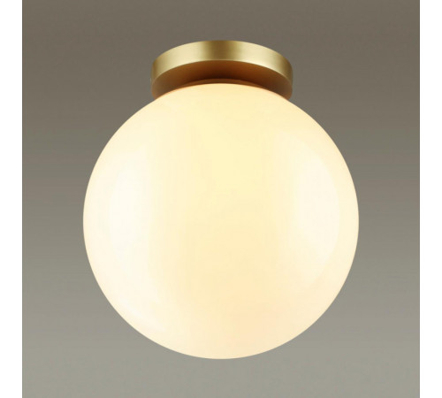 Потолочный светильник Odeon Light 4248/1C
