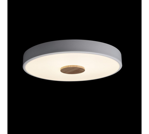 Потолочный светильник Loft IT AXEL 10003/24 White Потолочный светильник Loft IT AXEL 10003/24 White