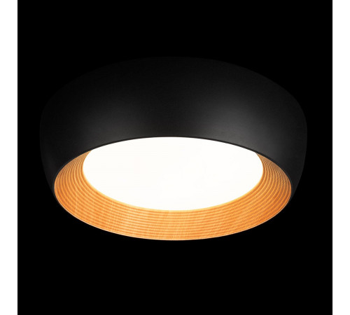 Потолочный светильник Loft IT Folk 10255/500 Black Потолочный светильник Loft IT Folk 10255/500 Black