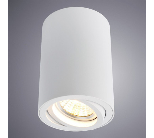Потолочный светильник Arte Lamp A1560PL-1WH Потолочный светильник Arte Lamp A1560PL-1WH