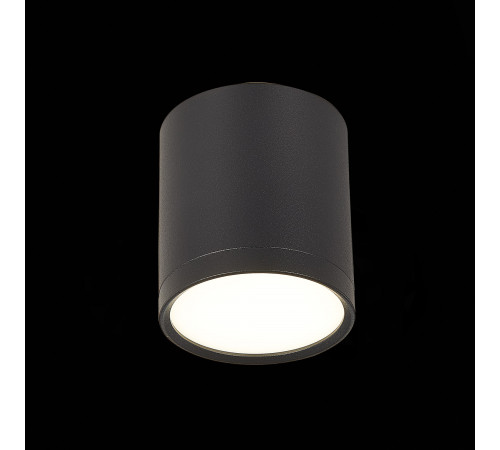 Потолочный светильник ST Luce Rene ST113.442.05 Потолочный светильник ST Luce Rene ST113.442.05