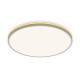 Потолочный светильник Citilux Norma CL748500