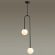 Потолочный светильник Odeon Light Ambi 4340/2
