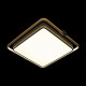 Потолочный светильник Loft IT Mike 10172