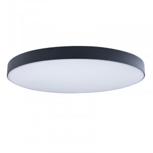 Потолочный светильник Loft IT AXEL 10002/48 Black