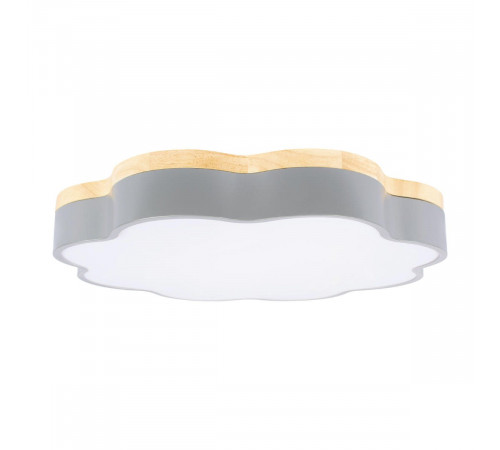 Потолочный светильник Loft IT Axel 10225/36 Grey