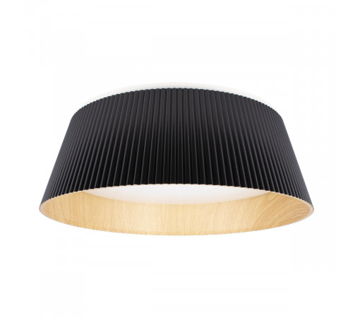 Потолочный светильник Loft IT Evans 10224 Black