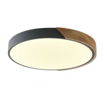 Потолочный светильник Zortes Alberro ZRS.01280.90