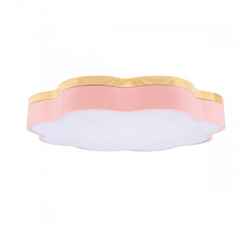 Потолочный светильник Loft IT Axel 10225/36 Pink