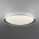 Потолочный светильник Citilux Mega CL752451G