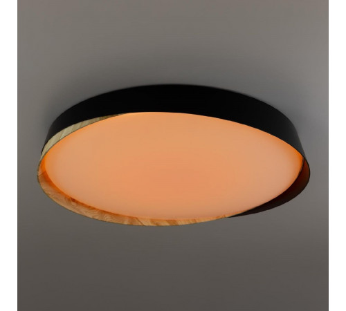 Потолочный светильник Citilux Bonny CL754451G Потолочный светильник Citilux Bonny CL754451G